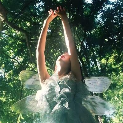 重生开局拯救大姨子